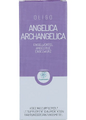 RP Vitamino Analytic Oligoplant Angelica Archangelica 120ML