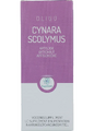RP Vitamino Analytic Oligoplant Cynara Scolymus Druppels 120ML