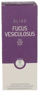 RP Vitamino Analytic Oligoplant Fucus Vesiculosus 120ML