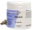 Holisan Febulin Capsules 60CP