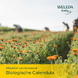 Weleda Calendula Billenbalsem 75ML 111639