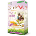Joannusmolen Breakfast Teff Ontbijt 300GR Joannusmolen Breakfast Teff Ontbijt 300GR