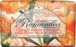 Nesti Dante Romantica Cherry Blossom Zeep 250GR Nesti Dante Romantica Cherry Blossom Zeep 250GR