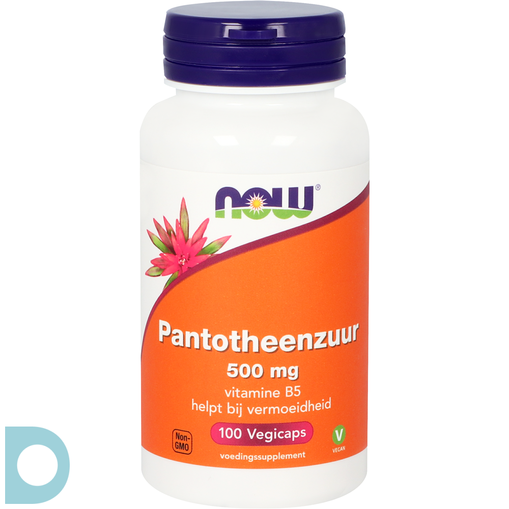 Neerduwen optillen gemeenschap NOW Pantotheenzuur 500 mg Capsules 100st