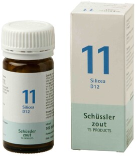 Pfluger Celzout 11 Silicea D12 Tabletten 100TB Pfluger Celzout 11 Silicea D12 Tabletten 100TB