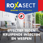 Roxasect Spuitbus Tegen Kruipende Insecten En Wespen 400ML2