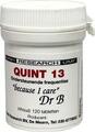 DNH Research DNH Quint 13 Tabletten 120TB