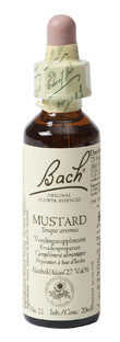 Bach Flower Remedies Herik 21 20ML Bach Flower Remedies Herik 21 20ML