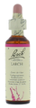 Bach Flower Remedies Lariks 19 20ML Bach Flower Remedies Lariks 19 20ML
