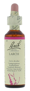 Bach Flower Remedies Lariks 19 20ML Bach Flower Remedies Lariks 19 20ML