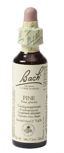 Bach Flower Remedies Den 24 20ML Bach Flower Remedies Den 24 20ML