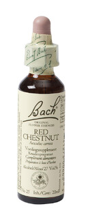 Bach Flower Remedies Rode Kastanje 25 20ML Bach Flower Remedies Rode Kastanje 25 20ML