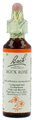 Bach Flower Remedies Zonneroosje 26 20ML Bach Flower Remedies Zonneroosje 26 20ML