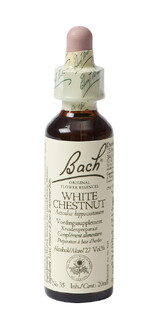 Bach Flower Remedies Paardekastanje 35 20ML Bach Flower Remedies Paardekastanje 35 20ML