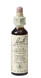 Bach Flower Remedies Paardekastanje 35 20ML 