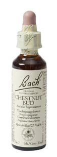 Bach Flower Remedies Kastanjeknop 07 20ML Bach Flower Remedies Kastanjeknop 07 20ML