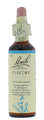 Bach Flower Remedies Cichorei 08 20ML