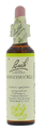 Bach Flower Remedies Kamperfoelie 16 20ML