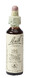 Bach Flower Remedies Wijnrank 32 20ML 
