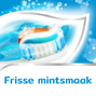 Aquafresh Freshmint 3in1 tandpasta - voor een frisse adem 75ML5