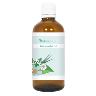 Balance Pharma Gemmoplex HGP 038 Lever Nier Lymf 100ML Balance Pharma Gemmoplex HGP 038 Lever Nier Lymf 100ML