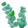 Kneipp Douche Foam Mint Eucalyptus 200ML1