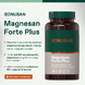 Bonusan Magnesan Forte Plus Tabletten 60TB 109655