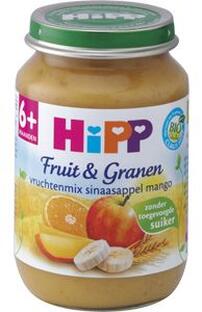 Aardrijkskunde heet Vooruitzien HiPP 6M+ Babyhapje Sinaasappel En Mango | voordelig online kopen | De  Online Drogist