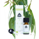 Chi Natural Life Chi Eucalyptus Smithii Etherische Olie Bio 10ML 33925