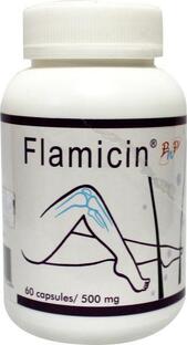 Phyto Health Pharma Flamicin 500mg Capsules 60CP