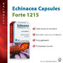 Fytostar Echinacea Forte 1215 Capsules 120CP1
