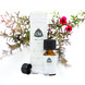 Chi Natural Life Chi Manuka Etherische Olie Wild 10ML 33437
