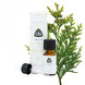 Chi Natural Life Thuja Etherische Olie Wild 10ML 34071 Chi Natural Life Thuja Etherische Olie Wild 10ML 34071