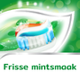 Aquafresh Anti Cariës Tandpasta - voor gezonde tanden en een frisse adem 75MLreclame 3
