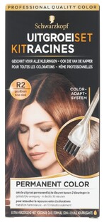 Schwarzkopf Vital Colors Schwarzkopf Uitgroeiset R2 Goudbruin 1ST