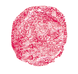 Benecos Lipgloss Flamingo 5ML kleur en textuur product