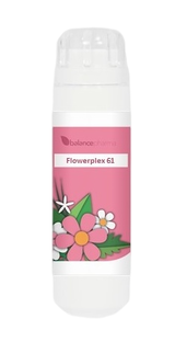 Balance Pharma Flowerplex 061 Vergevingsgezindheid 6GR