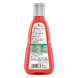 Guhl Kleurbehoud & Verzorging Shampoo 250ML 62269 Guhl Kleurbehoud & Verzorging Shampoo 250ML 62269