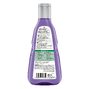 Guhl Zilverglans & Verzorging Shampoo 250ML1