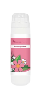 Balance Pharma Flowerplex 066 Troost 6GR