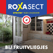 Roxasect Fruitvliegjes 1ST sfeerbeeld Roxasect Fruitvliegjes 1ST sfeerbeeld