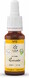 Lemon Pharma Bach NO.5 Cerato 20ML 