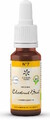 Lemon Pharma Bach NO.7 Chestnut Bud 20ML