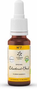Lemon Pharma Bach NO.7 Chestnut Bud 20ML Lemon Pharma Bach NO.7 Chestnut Bud 20ML