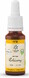 Lemon Pharma Bach NO.8 Chicory 20ML 