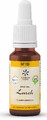 Lemon Pharma Bach NO.19 Larch 20ML