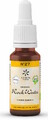 Lemon Pharma Bach NO.27 Rock Water 20ML