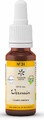 Lemon Pharma Bach NO. 31 Vervain 20ML