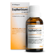 Heel Euphorbium Compositum Druppels 30ML 52759