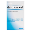Heel Gastricumeel Tabletten 250TB Heel Gastricumeel Tabletten 250TB